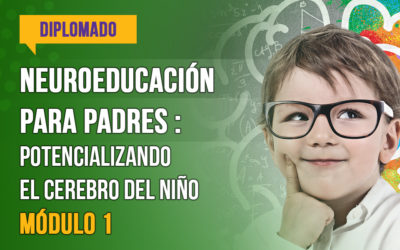 miniatura del curso