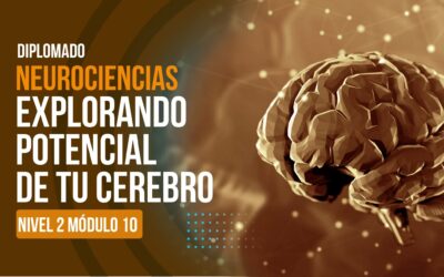 miniatura del curso