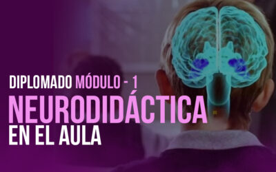 miniatura del curso