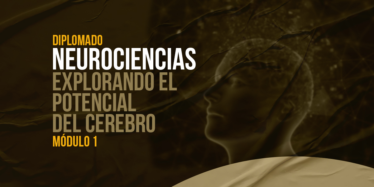 NEUROCIENCIAS: Reingeníeria Personal Nivel 1 - Módulo 1