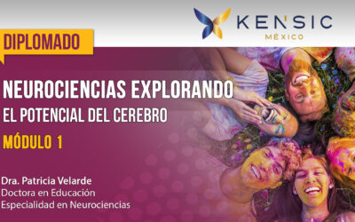 miniatura del curso