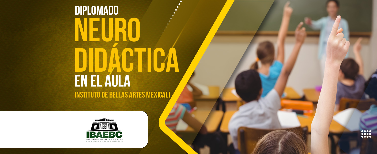 NEURODIDÁCTICA EN EL AULA - Bellas Artes Mexicali MODULO 2