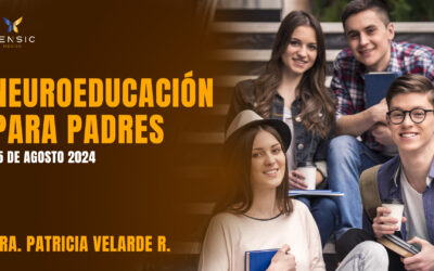 miniatura del curso